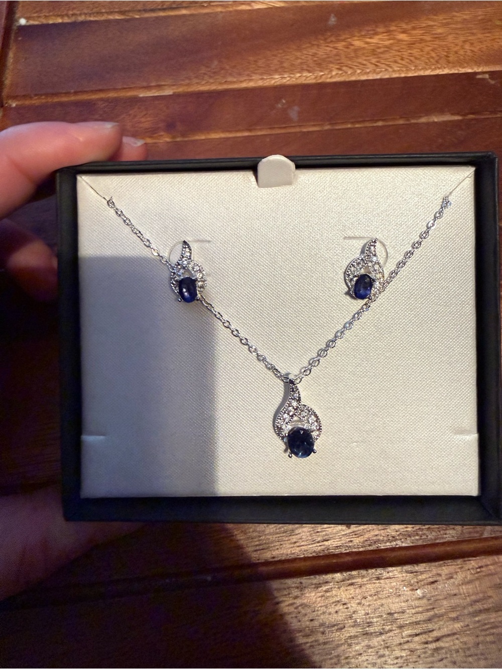 Blue and white costume jewelry. Earrings and matching necklace.